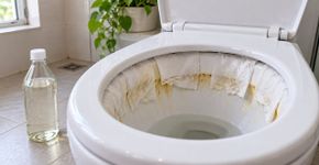 Para remover o calcário do vaso sanitário, encha a borda com papel toalha e umedeça com vinagre