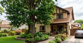 Nas casas mais seguras o quintal não tem cupim porque usam óleo de neem para proteger o tronco