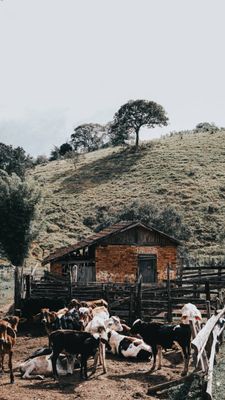 Paisagem ao longo do Caminho da Fé