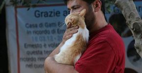 Homem decide não fugir de guerra na Síria para cuidar de gatos