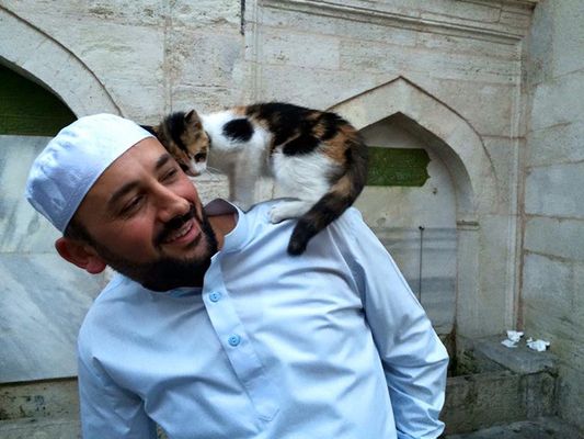Mesquita abre suas portas para gatos de rua ficarem aquecidos