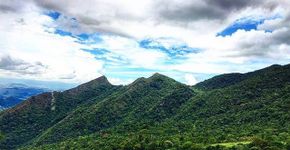 Mata Atlântica tem área regenerada equivalente ao tamanho de SP