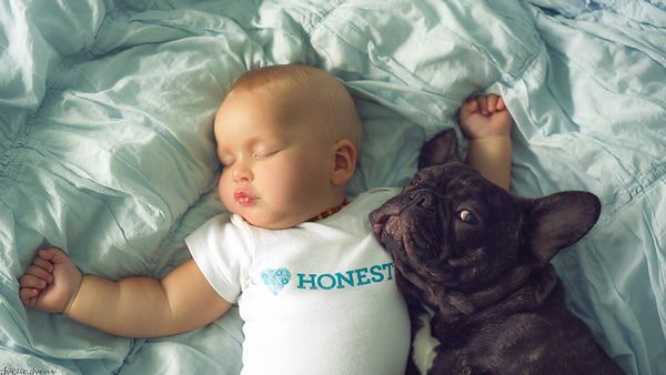 Dilan e seu buldogue francês, Farley