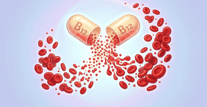 Por que precisamos de vitamina B12? Em quais alimentos podemos encontrá-la?