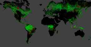 Mapa mostra crescimento do desmatamento no mundo na última década
