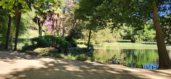 Jardins do hotel foram projetado pelo paisagista francês Guillaume Renner