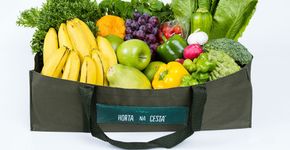 Delivery de hortifrúti traz produtos da horta com preço acessível