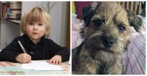 ‘Só quero meu cachorro de volta’, diz menino ao Papai Noel