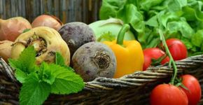 Farra dos agrotóxicos: 60% de nossos alimentos estão envenenados