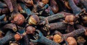 Foto: (Targrid/istock)