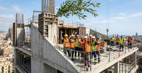 Colocar um ramo de oliveira em um edifício: para que serve e por que é recomendado