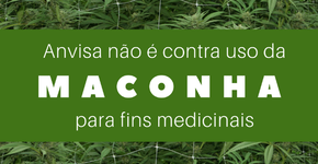 Anvisa se posiciona sobre uso medicinal da maconha. Entenda