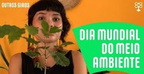 Veja algumas dicas de preservação ambiental, na semana do Meio Ambiente