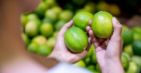 Foto: (iStock/andresr)