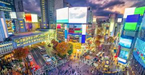 Roteiro em Tóquio: veja o que fazer, comer e comprar na capital do Japão