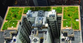 Curitiba quer tornar teto verde obrigatório em edifícios
