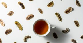 Foto: (EKIN KIZILKAYA/istock)