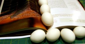 Quantas receitas cabem no seu smartphone?