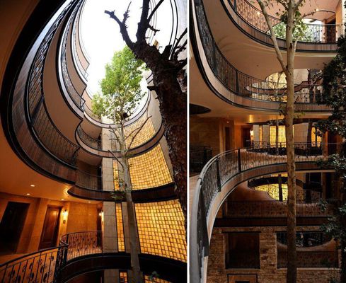 As casas unem o moderno com a natureza (Imagem: Report) 
