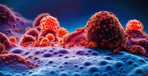 Foto: (koto_feja/istock)