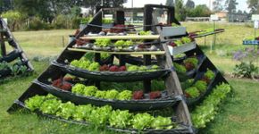 Manual de Agricultura Urbana promove alimentação sustentável nas grandes cidades