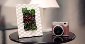 Aprenda a fazer um lindo quadro verde com plantas artificiais