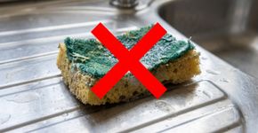 Usar a mesma esponja de cozinha por semanas parece normal enquanto ela ainda está inteira, mas na Alemanha a orientação é preferir escovas laváveis: esponjas úmidas secam lentamente e podem favorecer a multiplicação de bactérias