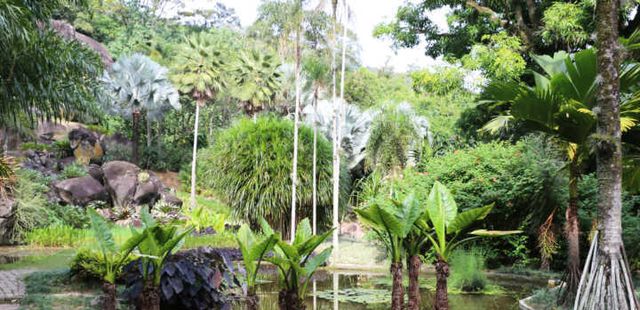 Sítio Burle Marx