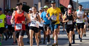 6 dicas para correr maratonas e meias-maratonas
