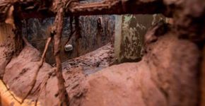 Estudo: os impactos do desastre em Mariana na saúde da população