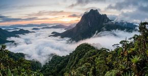 Uma montanha de 2.995,3 metros, expedições de 10 dias e território compartilhado com povos indígenas: o parque de 2,25 milhões de hectares que abriga o ponto mais alto do Brasil