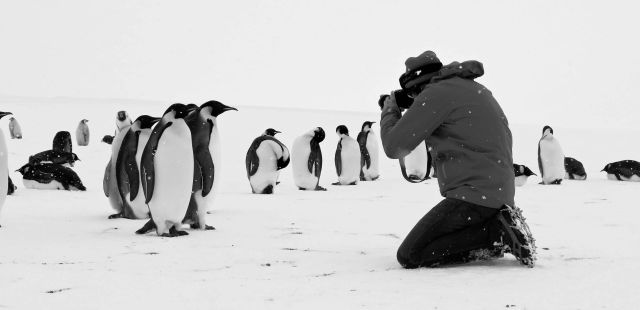 13ª Mostra Ecofalante de Cinema