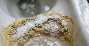 Nem vinagre nem bicarbonato de sódio: o método eficaz para remover o calcário do vaso sanitário
