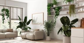 5 dicas para incorporar a biofilia na decoração