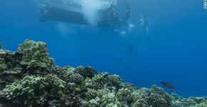 Google Maps chega ao fundo do mar