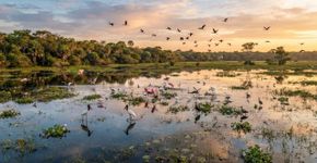 Rios que transbordam, planícies inundáveis e uma impressionante diversidade de animais: a área protegida de 187 mil hectares no Centro-Oeste que representa uma pequena parcela de um dos maiores sistemas úmidos de água doce do planeta