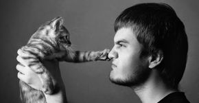 Como os gatos veem seus donos