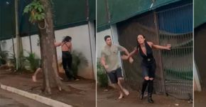 Foto: (Reprodução)