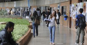 Foto: (Divulgação/UnB)