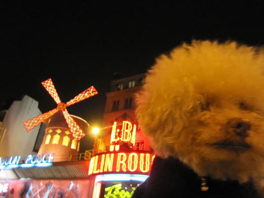 Paris (França)