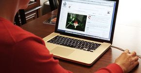 Site do governo tem serviço de reclamações de consumidores