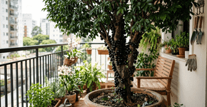 Como cultivar jabuticaba em vasos: como cuidar dela para que cresça bem e produza frutos, incluindo etapas importantes desde o início do plantio
