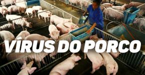 O que se sabe até agora sobre o novo vírus encontrado na China com potencial pandêmico