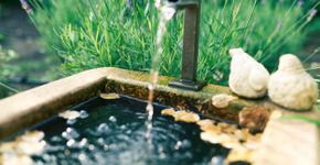 Foto: (Claudia Krahne/istock)
