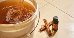 Adicionar um tempero à água de lavar limpa o chão e elimina bactérias