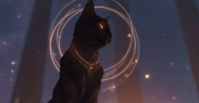 O que torna os gatos misteriosos?