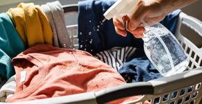 Vinagre branco substitui amaciante, fixa cores e elimina cheiro de suor em peças de roupa