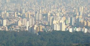 Foto: (Picasa 3.0)