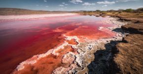 O lago que transforma animais em pedra. O mistério do Lago Natron, na Tanzânia, e suas explicações científicas