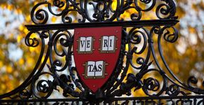 Mais de 800 cursos de Harvard e MIT para fazer on-line e de graça em 2016